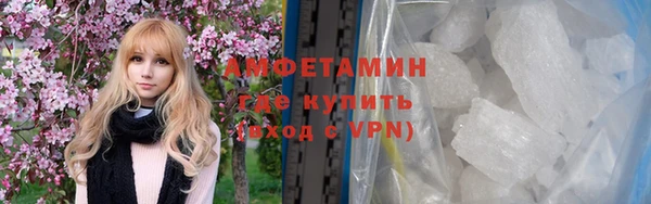 индика Ростов