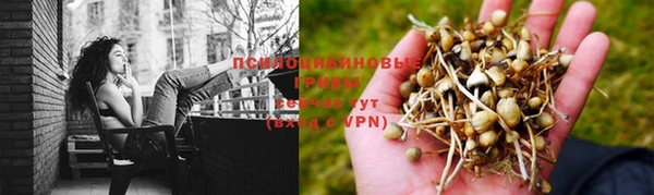 индика Ростов