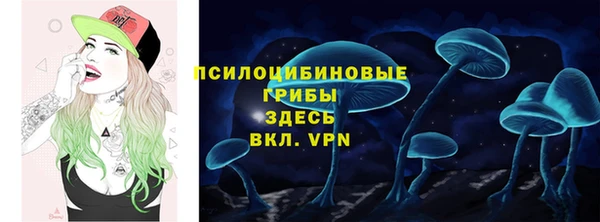 ешки Рославль