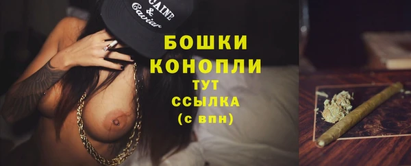 индика Ростов