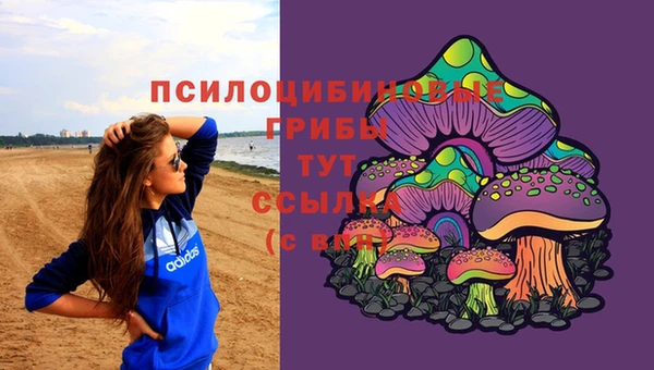 jwh Абинск