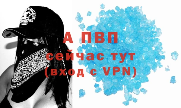 индика Ростов