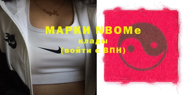 индика Ростов