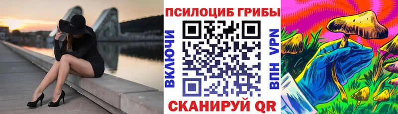 Псилоцибиновые грибы Magic Shrooms  наркота  Болотное 